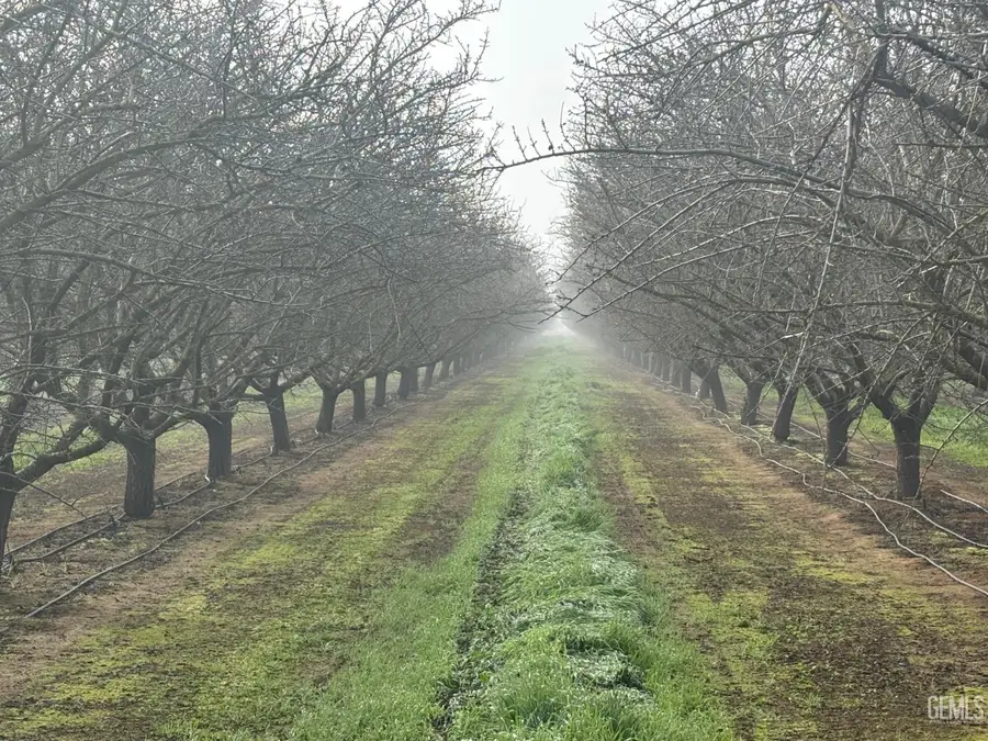 0 7TH STANDARD ROAD, Shafter, CA 93263 - #2