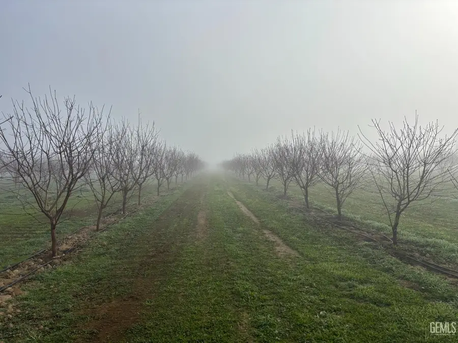 0 7TH STANDARD ROAD, Shafter, CA 93263 - #3