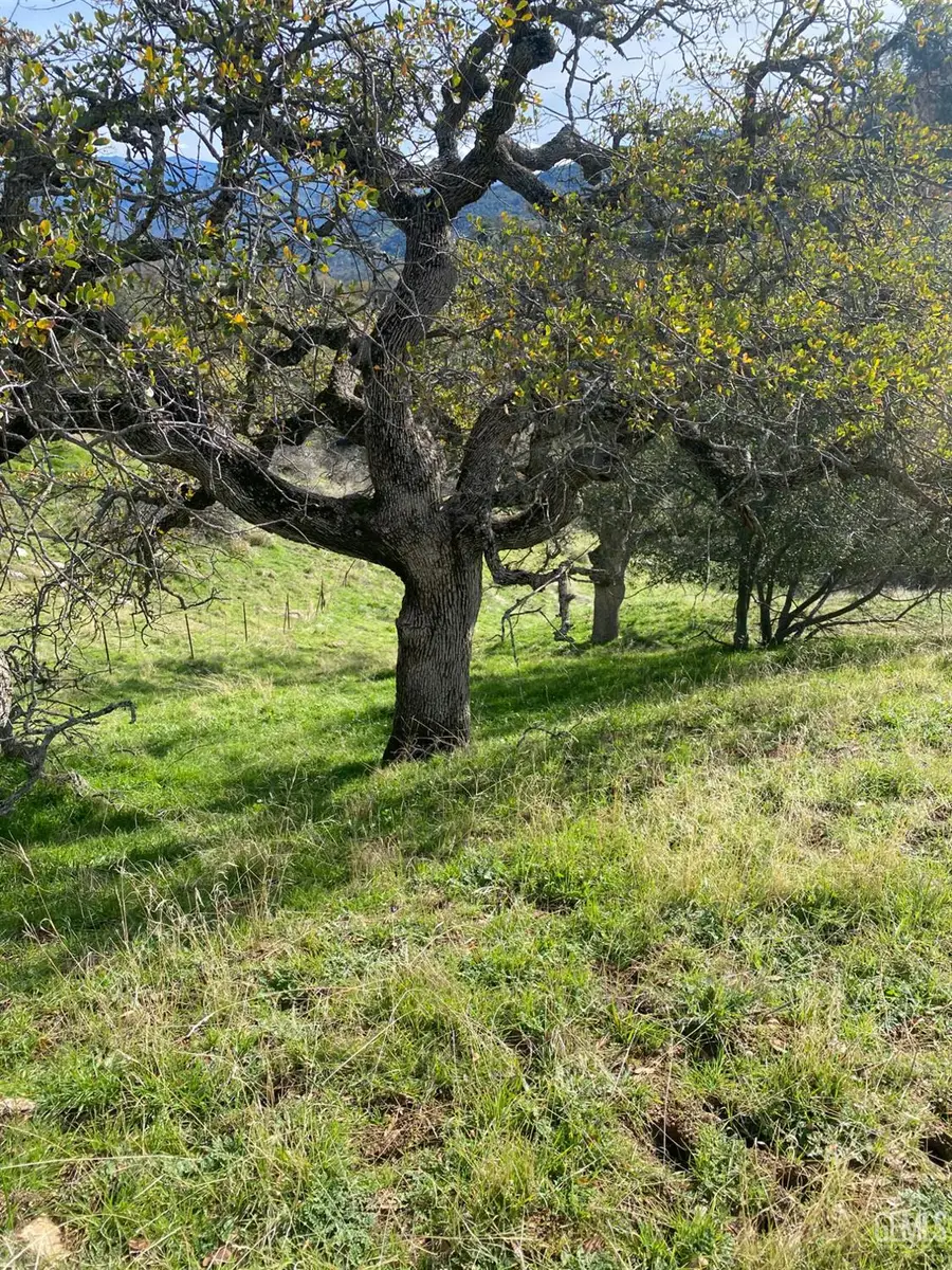 27833 BUCKEYE CANYON ROAD, Keene, CA 93531 - #2