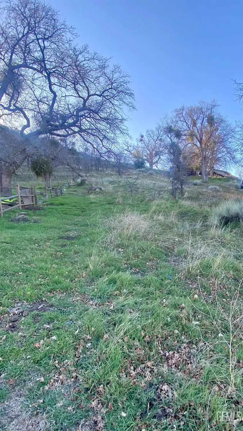 0 WILLIAM TELL TRAIL, Tehachapi, CA 93561 - #2