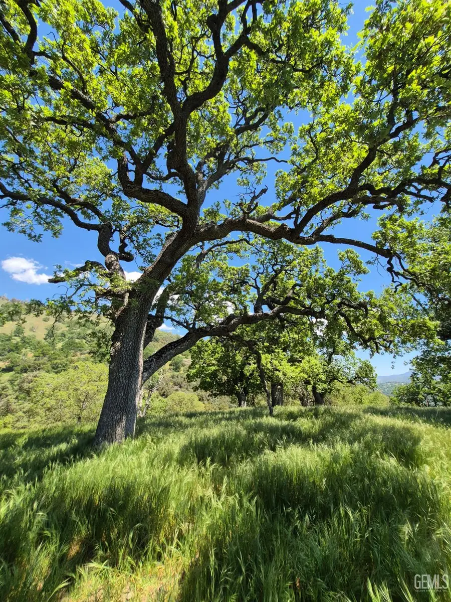 28251 DEERTRAIL DRIVE, Tehachapi, CA 93561 - #2