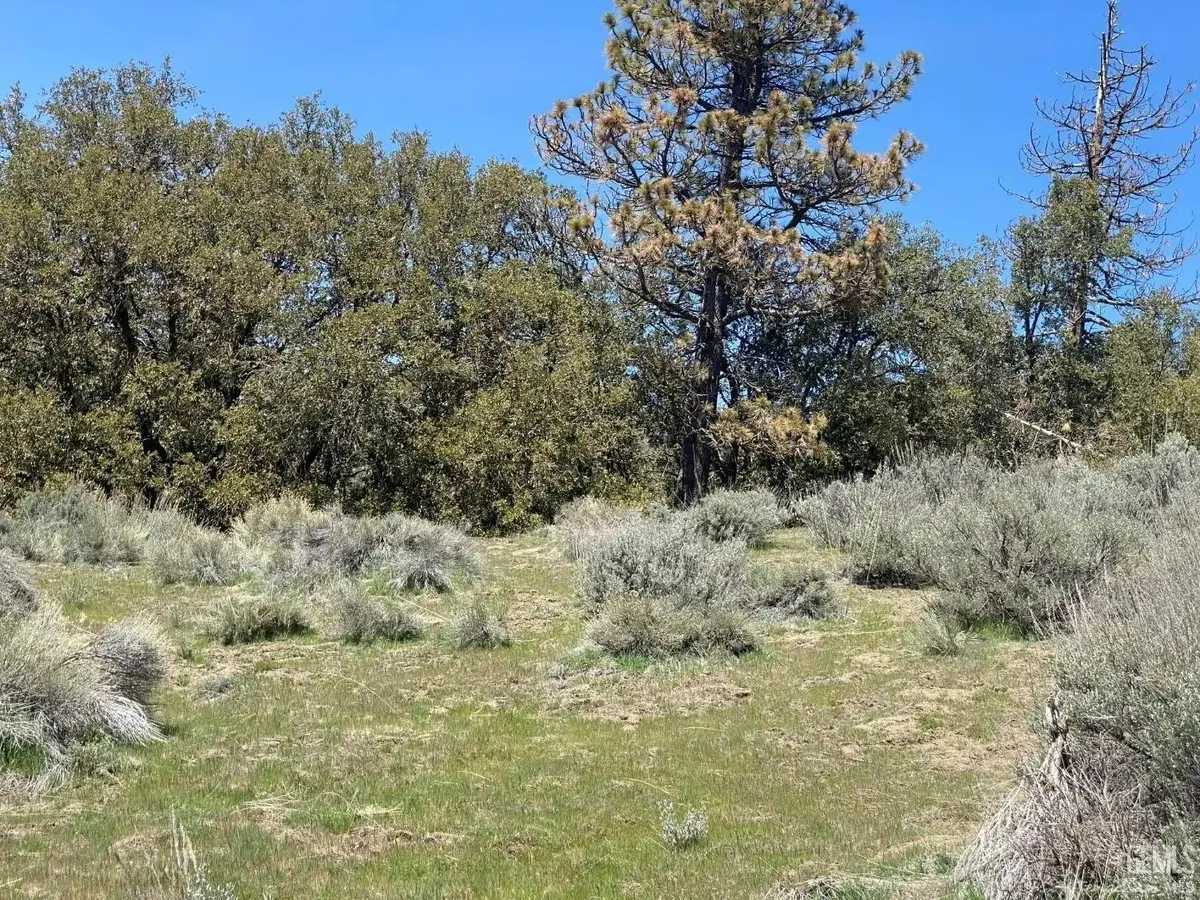25301 PARAMOUNT DRIVE, Tehachapi, CA 93561 - #1