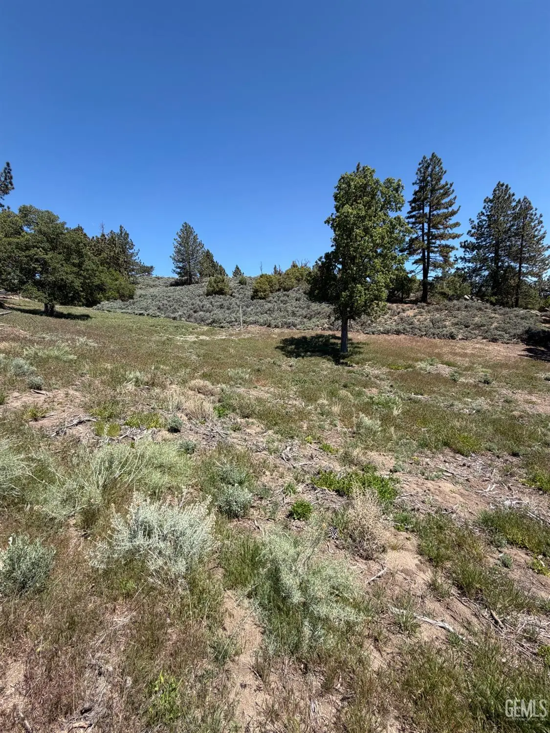 26701 STIRRUP WAY, Tehachapi, CA 93561 - #1