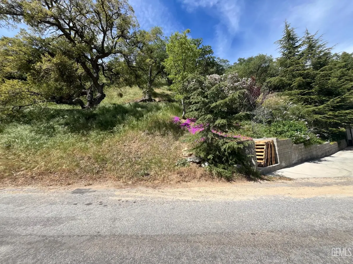 0 CANYON DR, Lebec, CA 93243 - #1