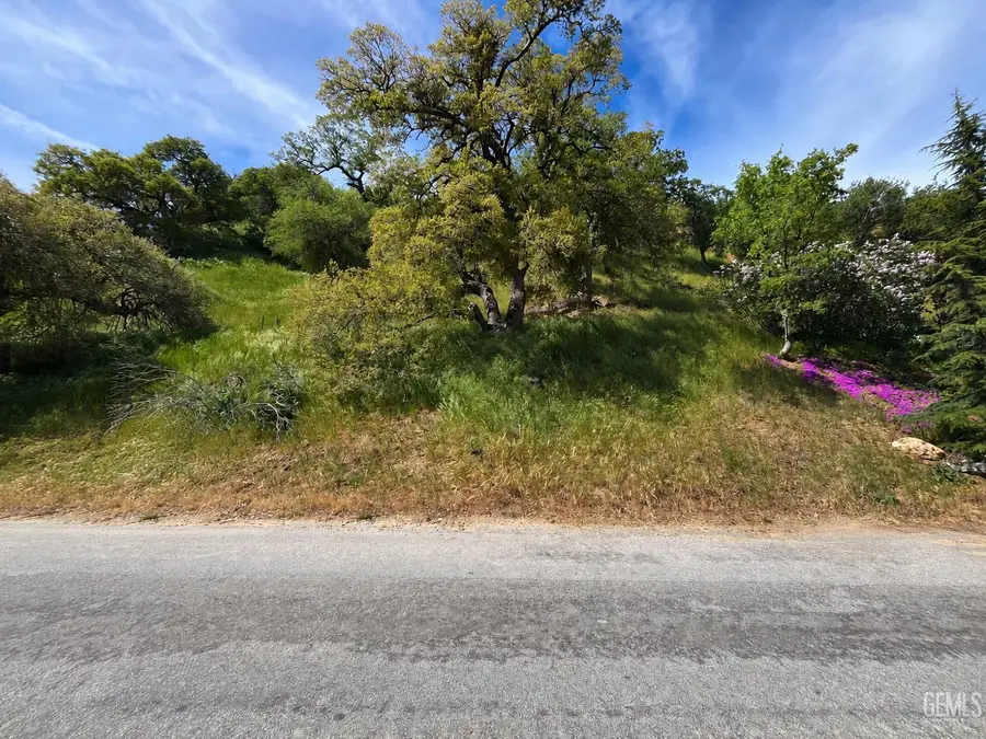 0 CANYON DR, Lebec, CA 93243 - #2