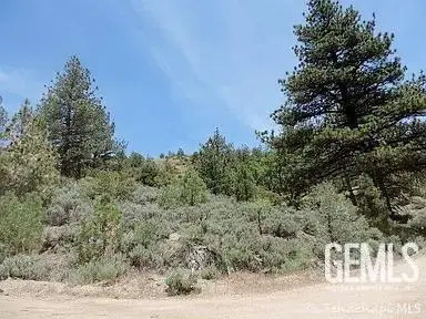 16300 JUNGFRAU WAY, Tehachapi, CA 93561 - #1