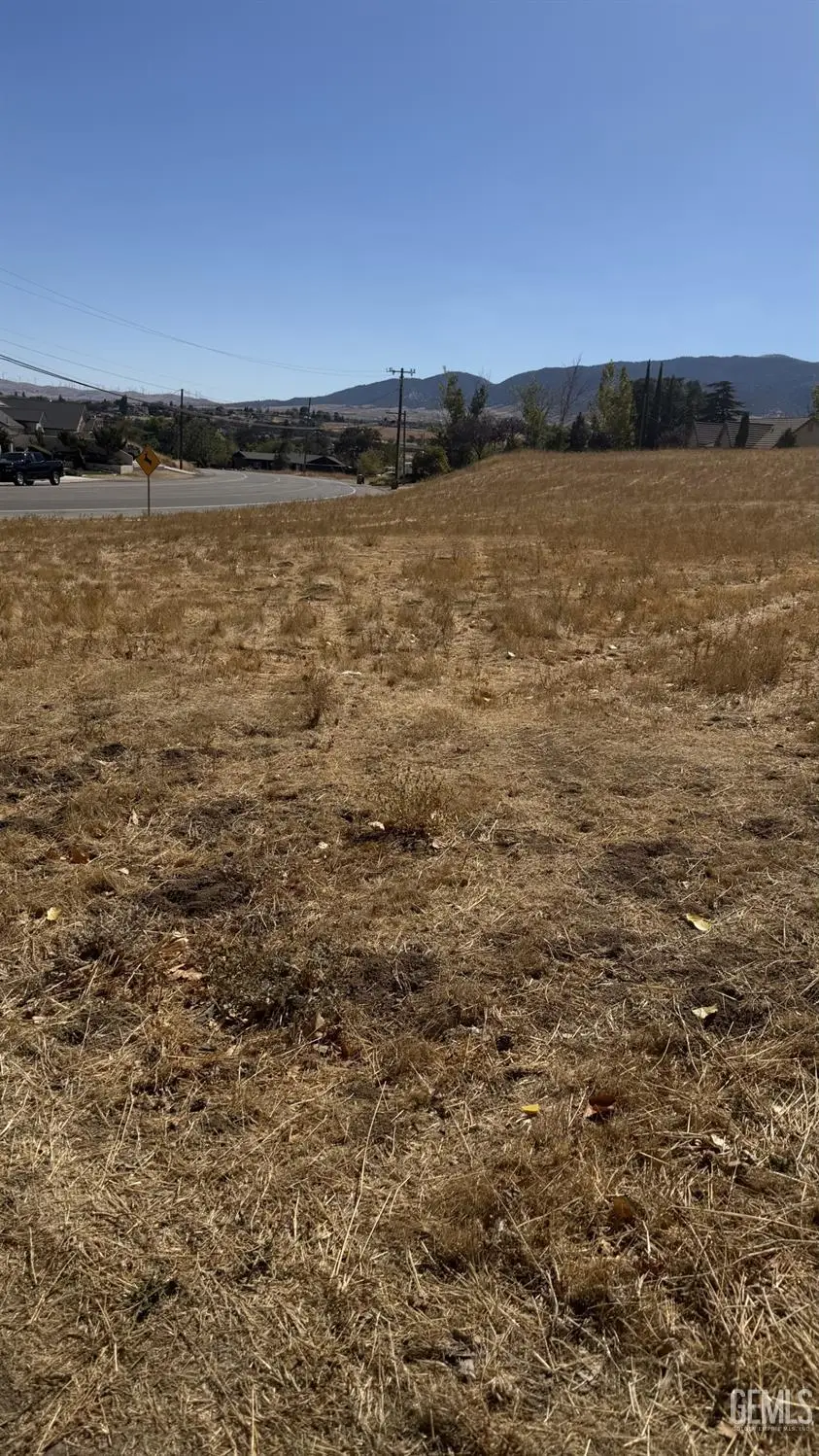 21200 DELMAR AVENUE, Tehachapi, CA 93561 - #2