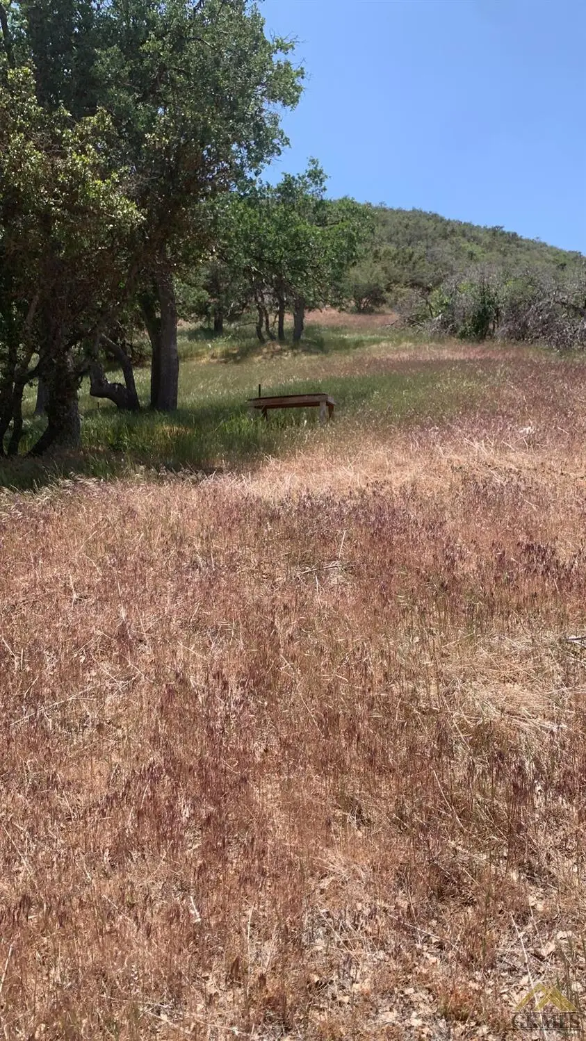 0 WILLIAM TELL TRAIL LOT #6, Tehachapi, CA 93561 - #3