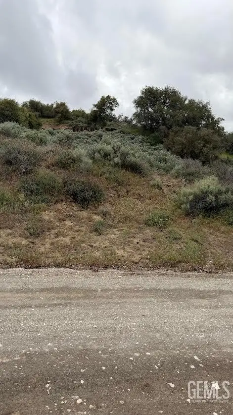 0 EL RANCHO DRIVE, Tehachapi, CA 93561 - #1