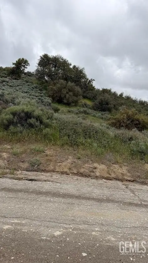 0 EL RANCHO DRIVE, Tehachapi, CA 93561 - #2