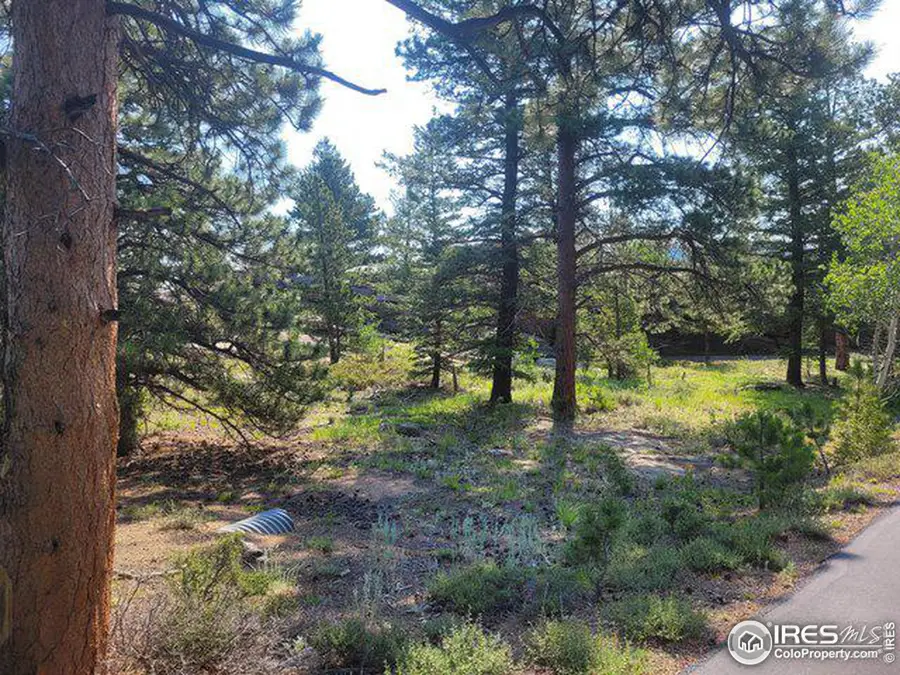 1 Fox Acres W Dr, Red Feather Lakes, CO 80545 - Image #2
