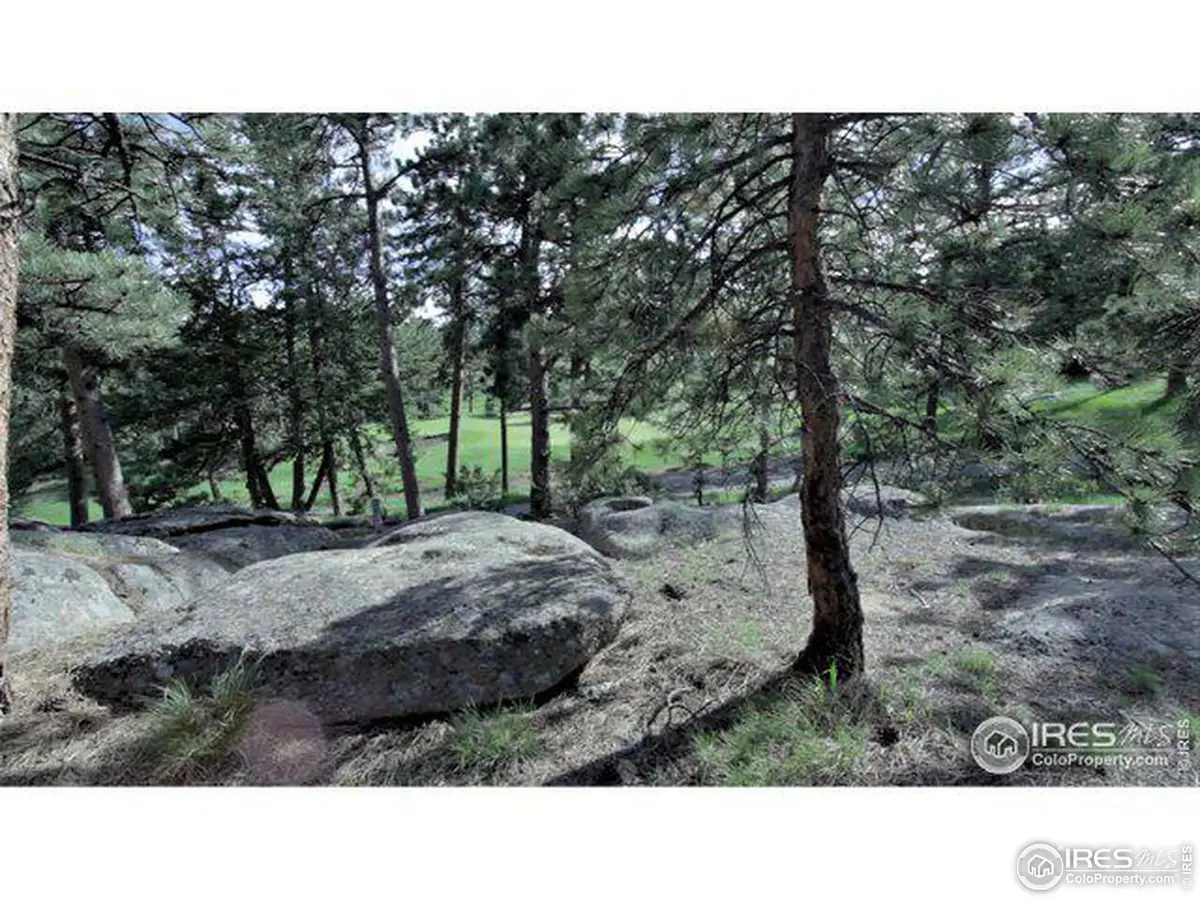 530 Fox Acres W Dr, Red Feather Lakes, CO 80545 - #1