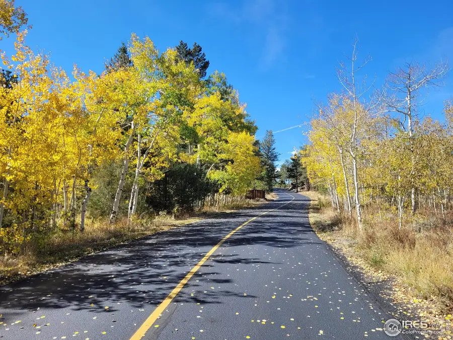 530 Fox Acres W Dr, Red Feather Lakes, CO 80545 - #3