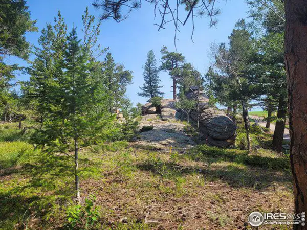 612 Fox Acres W Dr, Red Feather Lakes, CO 80545