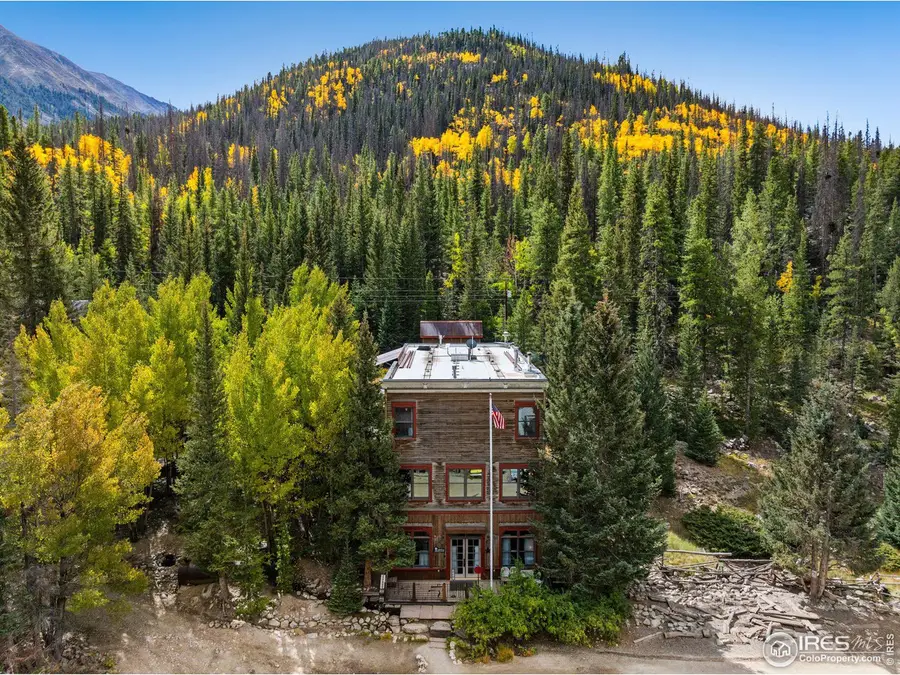 25850 County Road 162, Saint Elmo, CO 81236 - #3