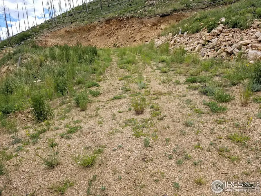 151 Black Mountain Ct, Livermore, CO 80536 - Image #2