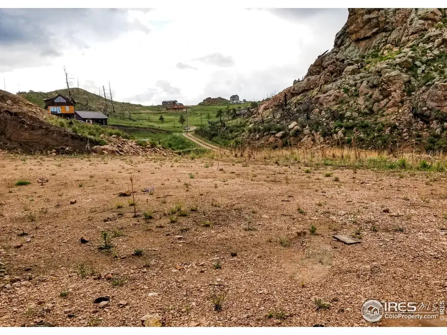 151 Black Mountain Ct, Livermore, CO 80536 - Image #3