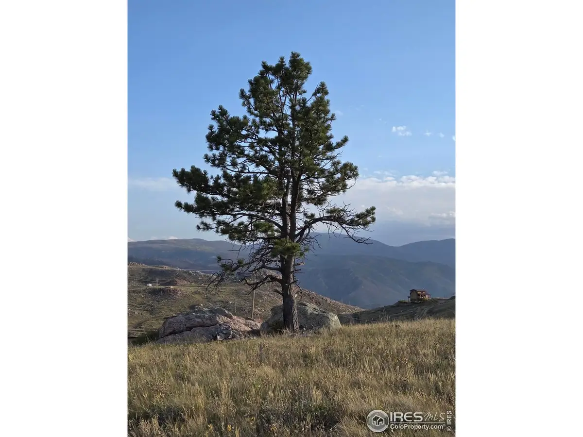 443 Meadow Mountain Dr, Livermore, CO 80536 - #1