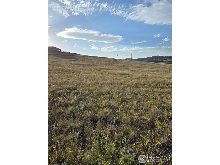 443 Meadow Mountain Dr, Livermore, CO 80536 - #2