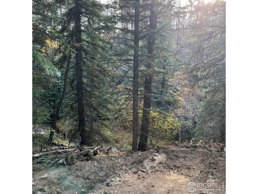 11 Monument Gulch Way, Bellvue, CO 80512 - Image #2