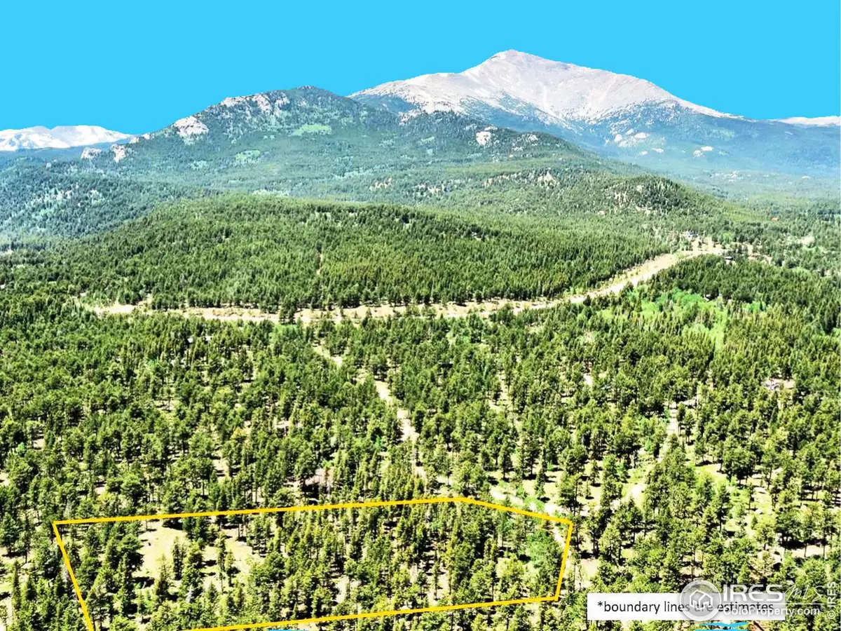 246 Tahosa Park South Rd, Allenspark, CO 80510 - Image #1