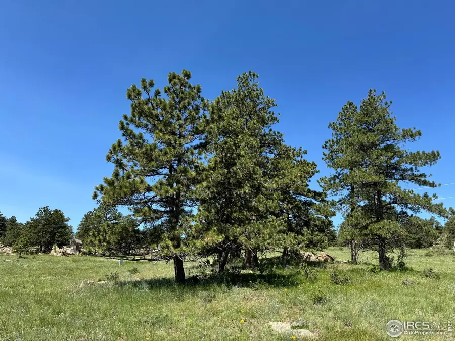 62 White Slide Mountain Ct, Livermore, CO 80536 - #2