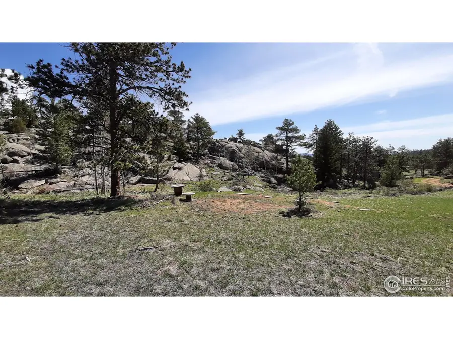 102 Mount Princeton Ct, Livermore, CO 80536 - Image #3