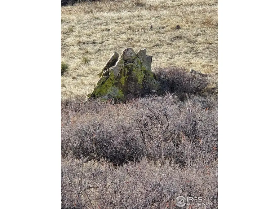 0 Beverly Dr, Berthoud, CO 80513 - #2