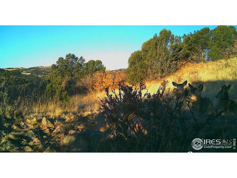 0 Cap Rock Rds #4, Canon City, CO 81212 - Image #3