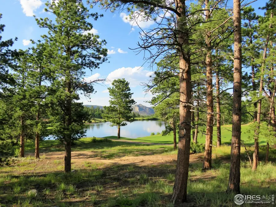 2 Fox Meadow Ln #2, Red Feather Lakes, CO 80545 - #3