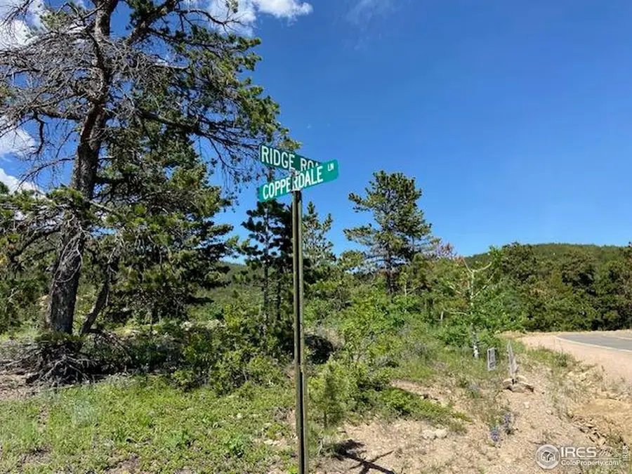 1118 Copperdale Ln, Golden, CO 80403 - #2