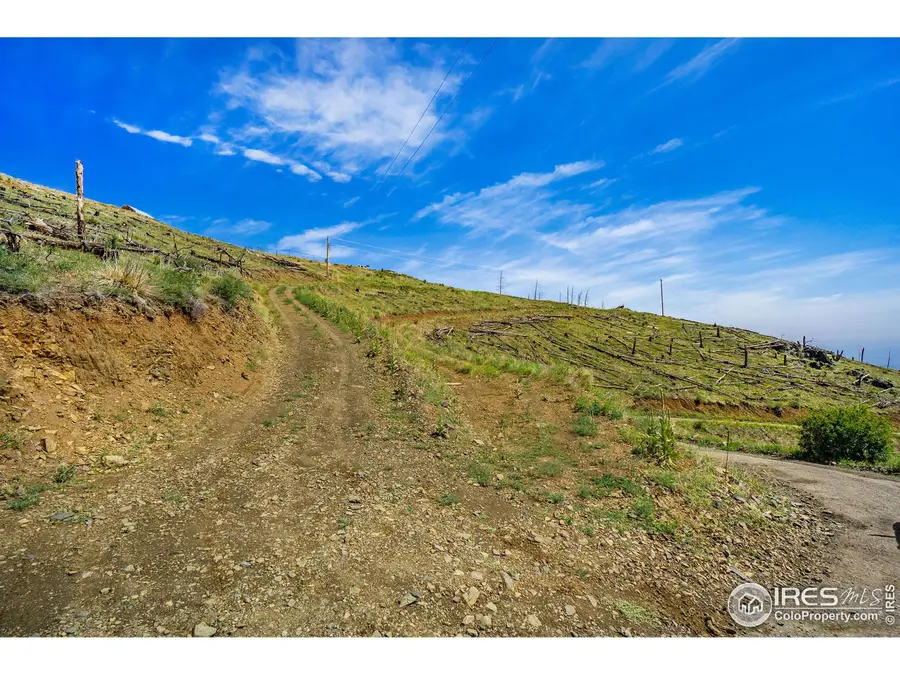 1600 Whale Rock Rd, Bellvue, CO 80512 - Image #3