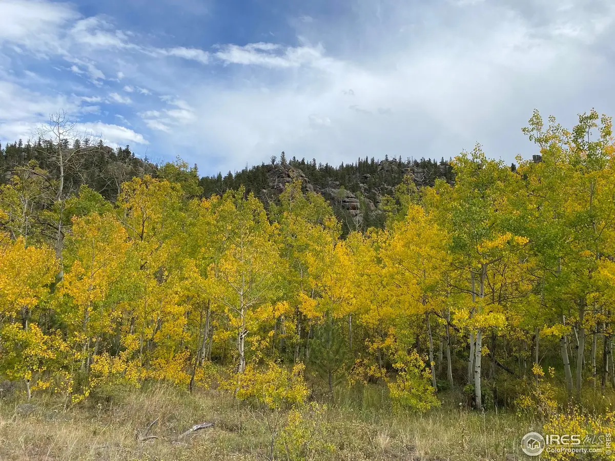 53 Ada Ct, Red Feather Lakes, CO 80545 - Image #1