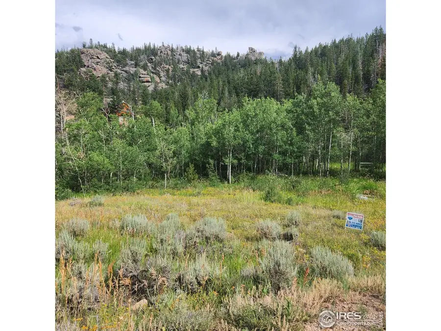 53 Ada Ct, Red Feather Lakes, CO 80545 - Image #2