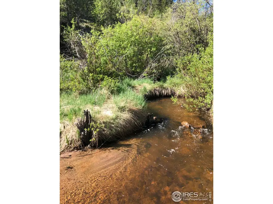 53 Ada Ct, Red Feather Lakes, CO 80545 - Image #3