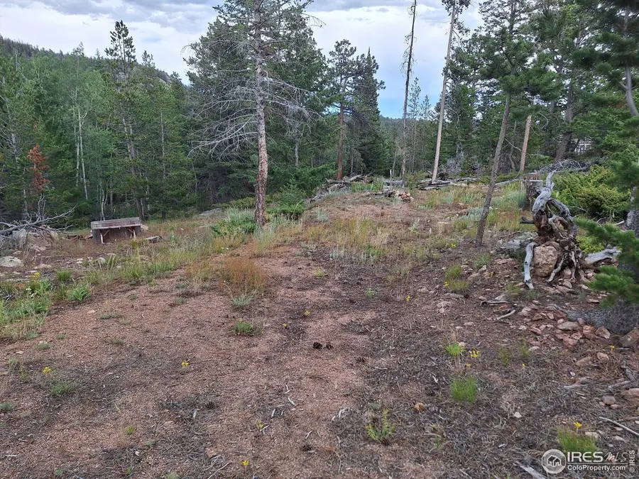 204 Sutiki Dr, Red Feather Lakes, CO 80545 - Image #3