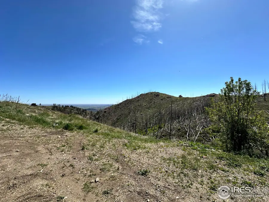 100 Canyon Gulch Rd, Bellvue, CO 80512 - Image #2