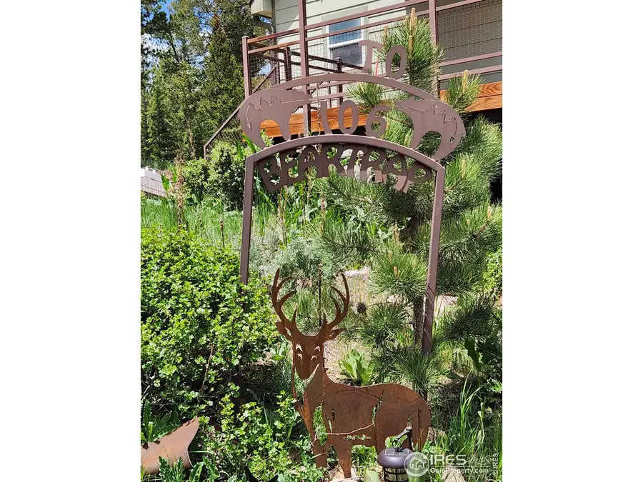 106 Beartrap Rd, Red Feather Lakes, CO 80545 - #2