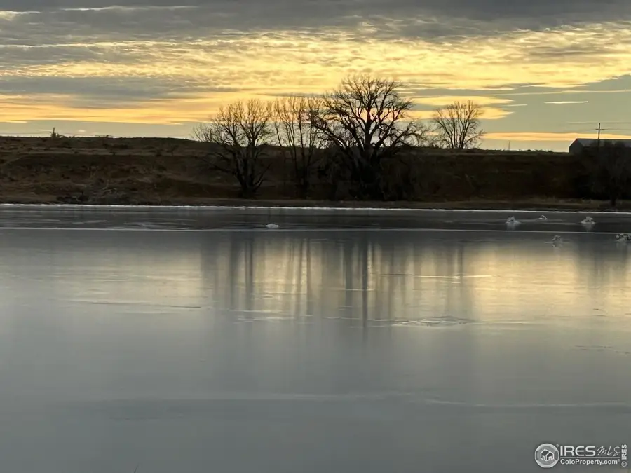 20528 County Road 3, Wiggins, CO 80654 - #3