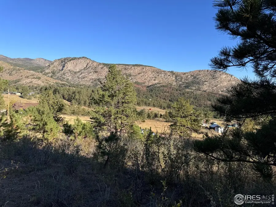 938 Snow Top Dr, Drake, CO 80515 - #3