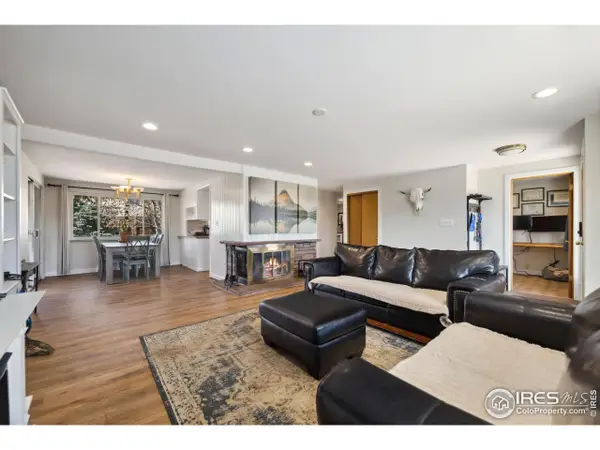 261 South Ct, Estes Park, CO 80517