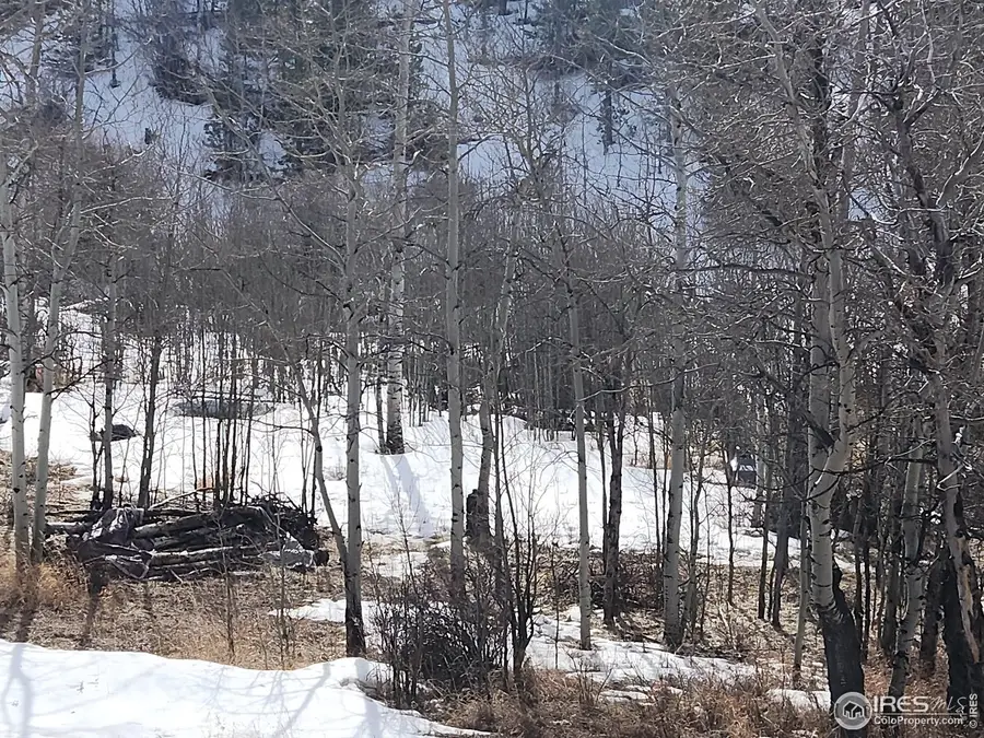 53 Ada Ct, Red Feather Lakes, CO 80545 - Image #2