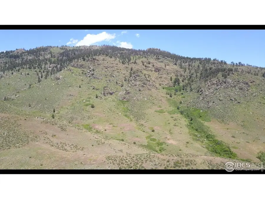 14750 Buckhorn Rd, Loveland, CO 80538 - Image #3