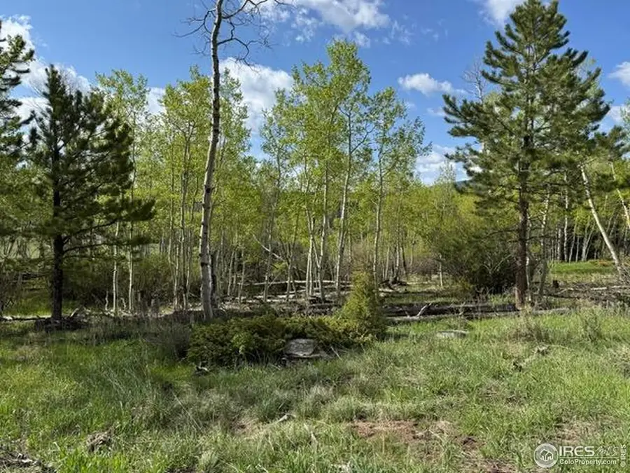 137 Cimarron Rd, Red Feather Lakes, CO 80545 - Image #2