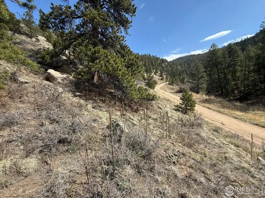 1050 Pine Tree Dr, Estes Park, CO 80517 - #3