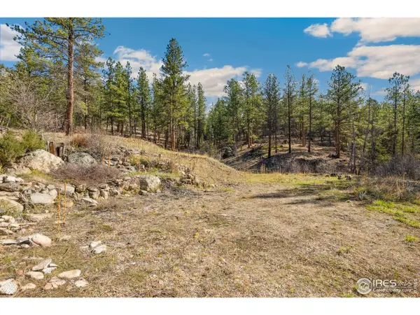 755 Fox Creek Rd, Glen Haven, CO 80532