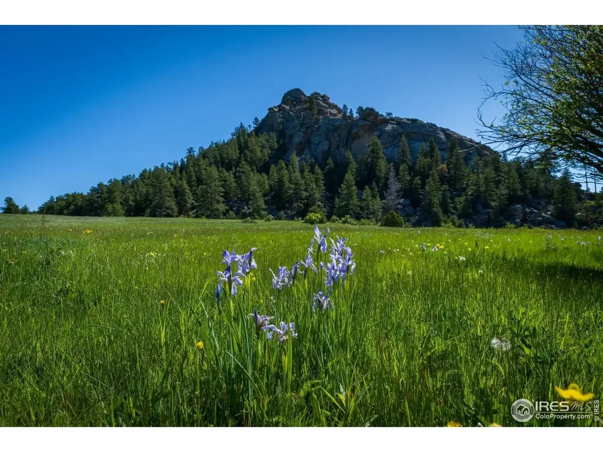 Mountain Pony Rd, Livermore, CO 80536 - #1