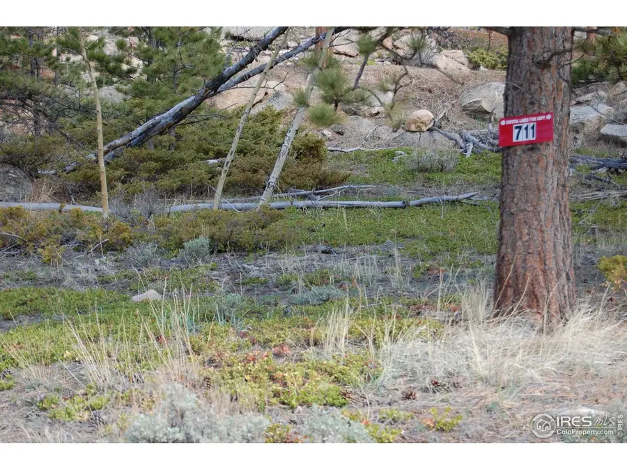 711 Osage Trl, Red Feather Lakes, CO 80545 - Image #2
