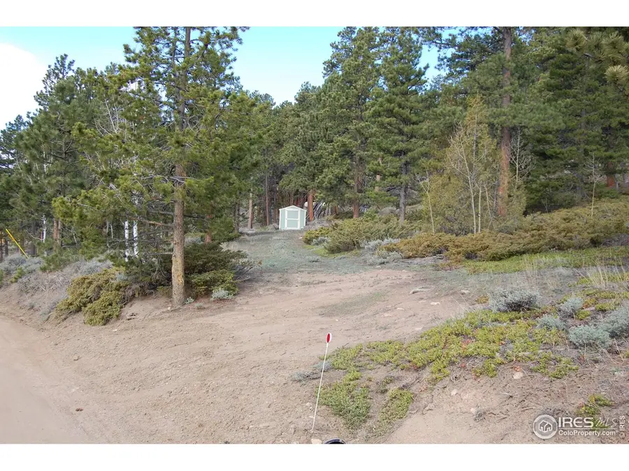 711 Osage Trl, Red Feather Lakes, CO 80545 - Image #3