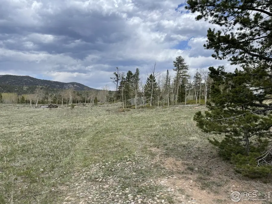 22 Tami Rd, Red Feather Lakes, CO 80545 - Image #3